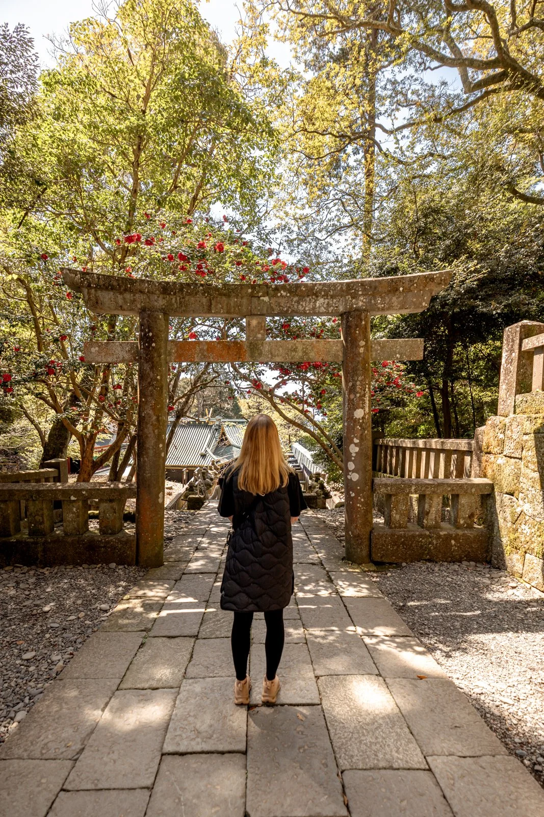 2026 SHIMIZU KUNOZAN TOSHUGU SHRINE-23.jpg