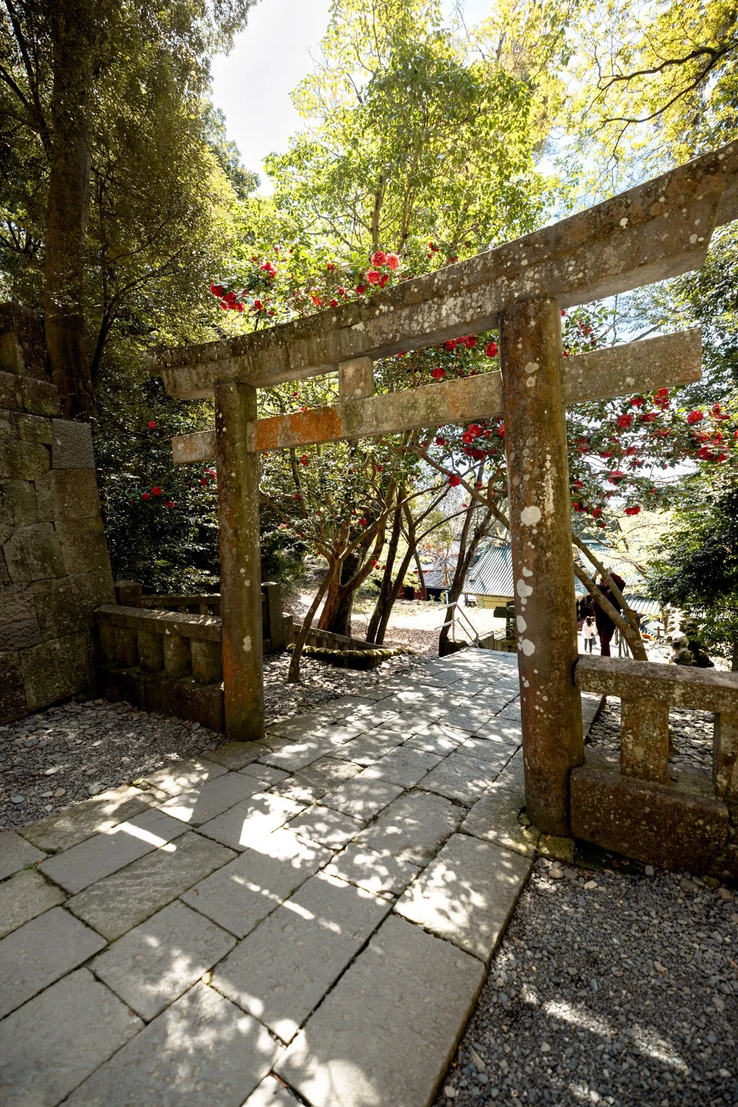 2026 SHIMIZU KUNOZAN TOSHUGU SHRINE-24.jpg