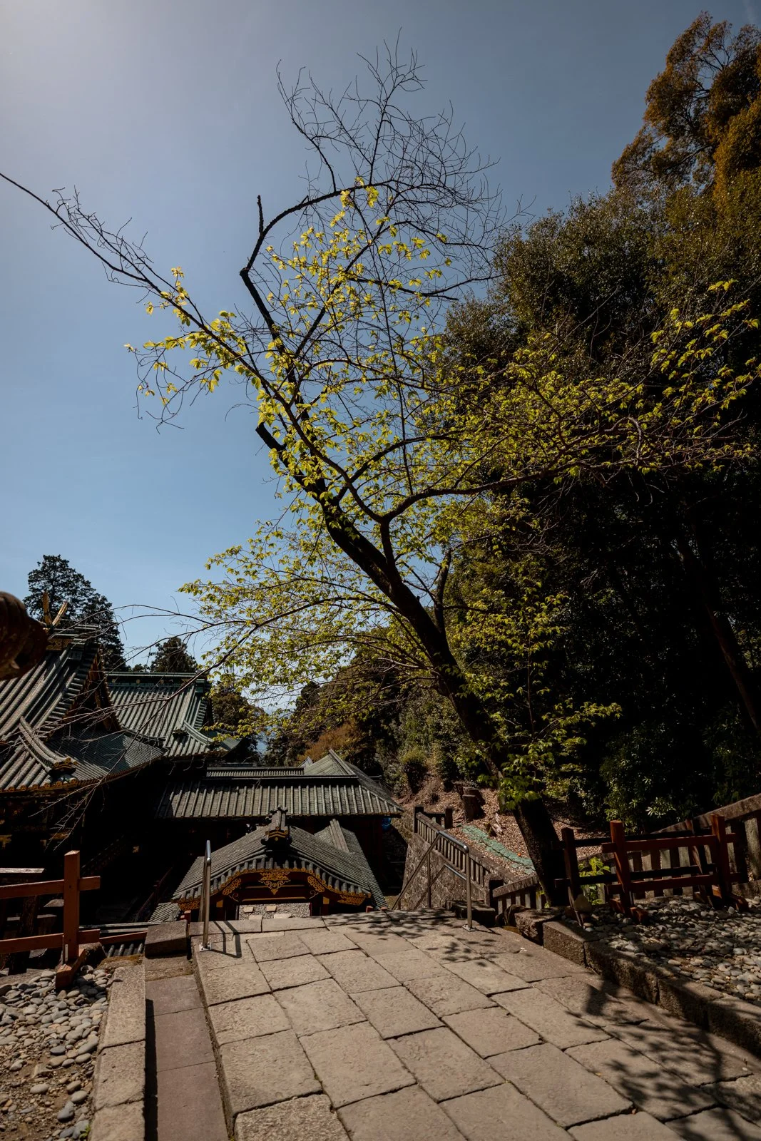 2026 SHIMIZU KUNOZAN TOSHUGU SHRINE-25.jpg