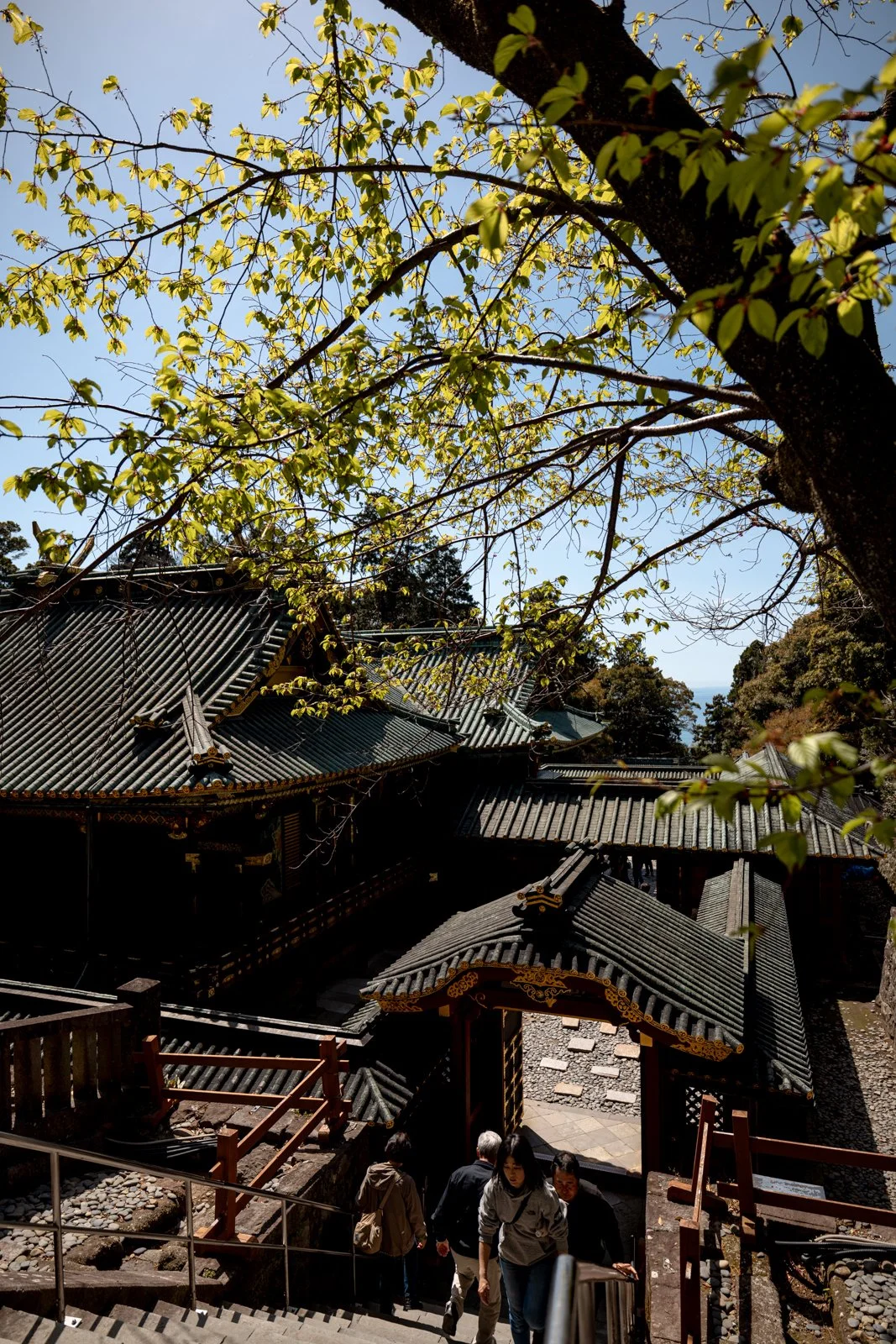 2026 SHIMIZU KUNOZAN TOSHUGU SHRINE-26.jpg