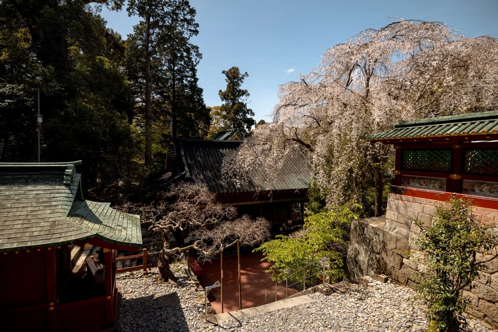 2026 SHIMIZU KUNOZAN TOSHUGU SHRINE-28.jpg