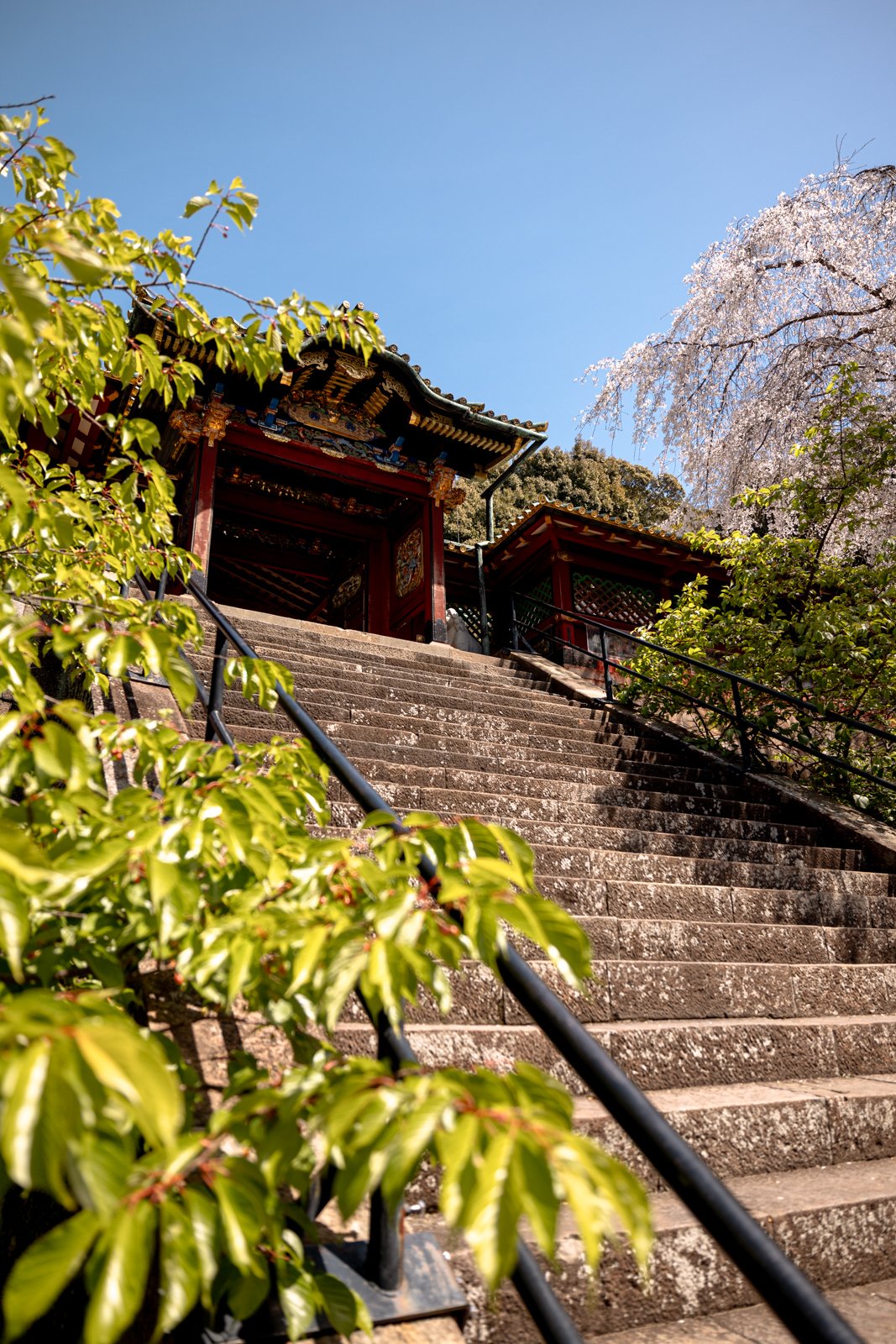 2026 SHIMIZU KUNOZAN TOSHUGU SHRINE-30.jpg