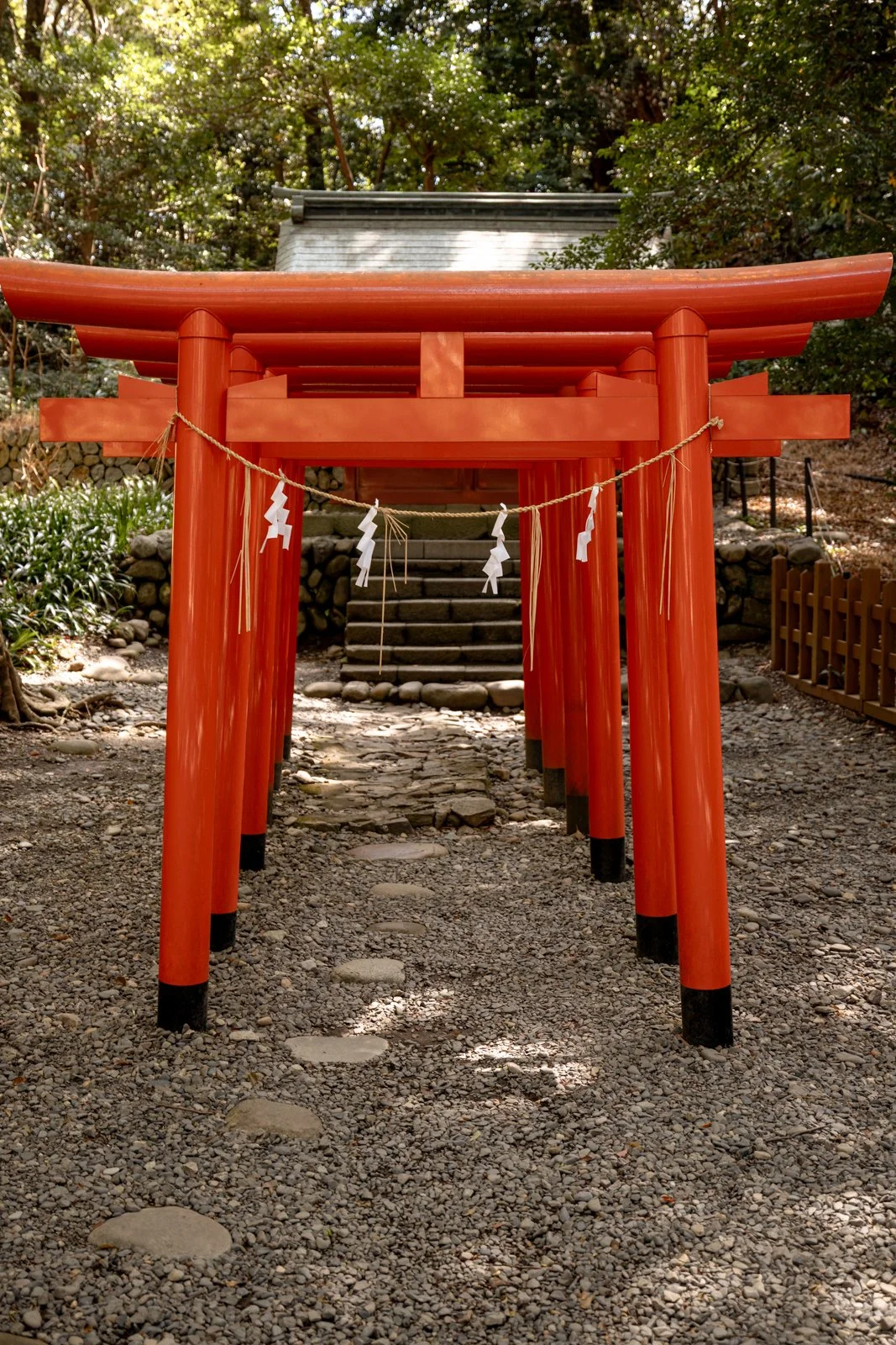 2026 SHIMIZU KUNOZAN TOSHUGU SHRINE-33.jpg