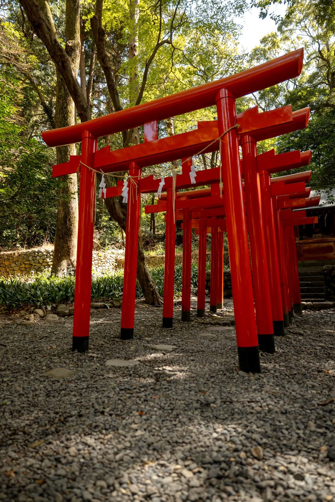 2026 SHIMIZU KUNOZAN TOSHUGU SHRINE-34.jpg