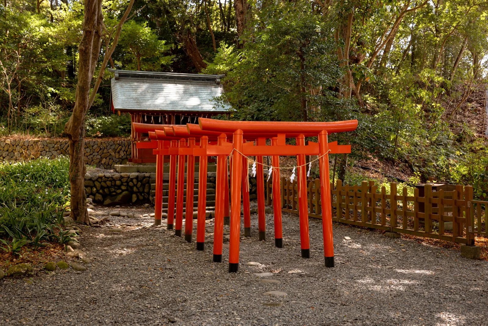 2026 SHIMIZU KUNOZAN TOSHUGU SHRINE-36.jpg