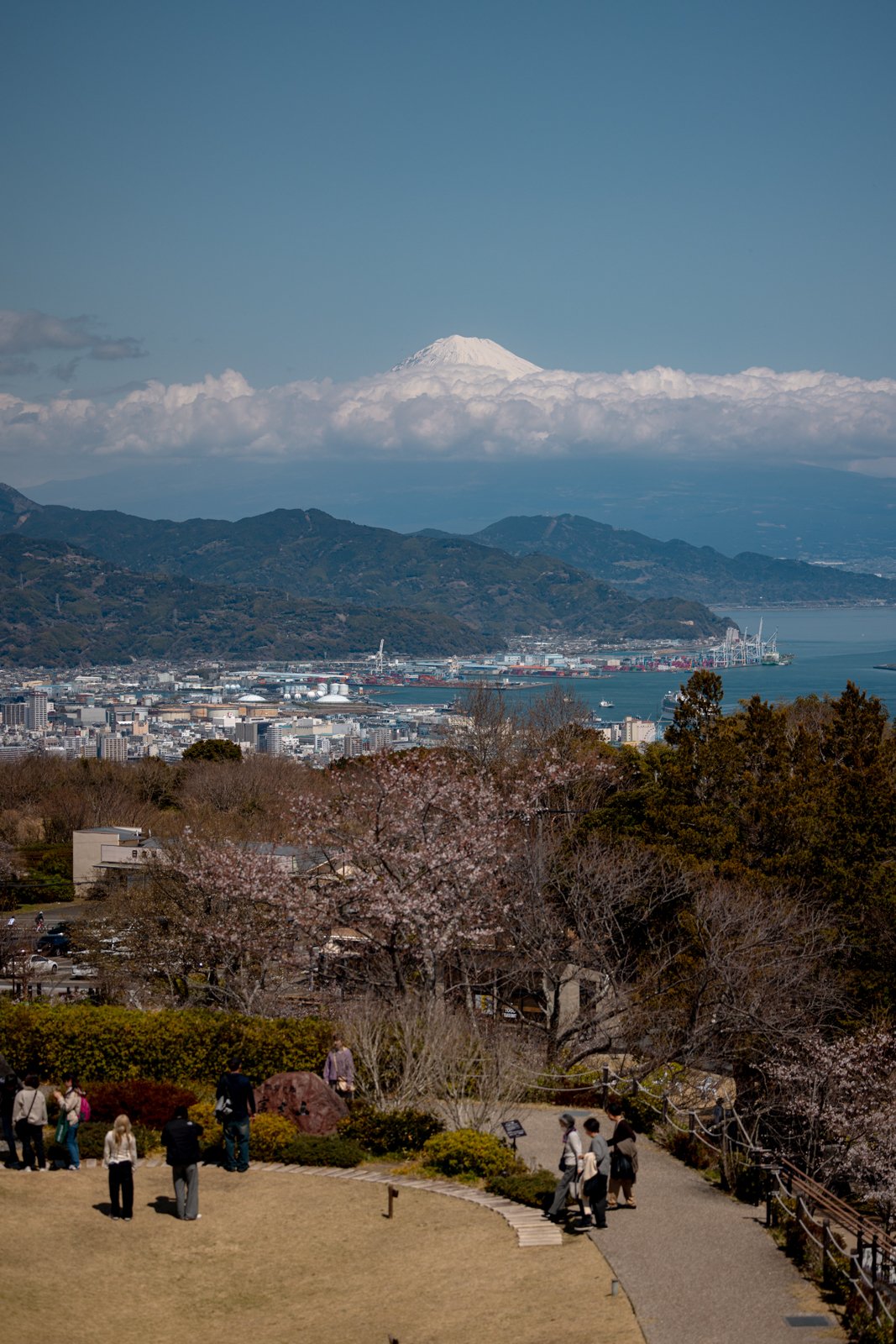 2026 SHIMIZU NIHONDAIRA YUME TERRACE-5.jpg