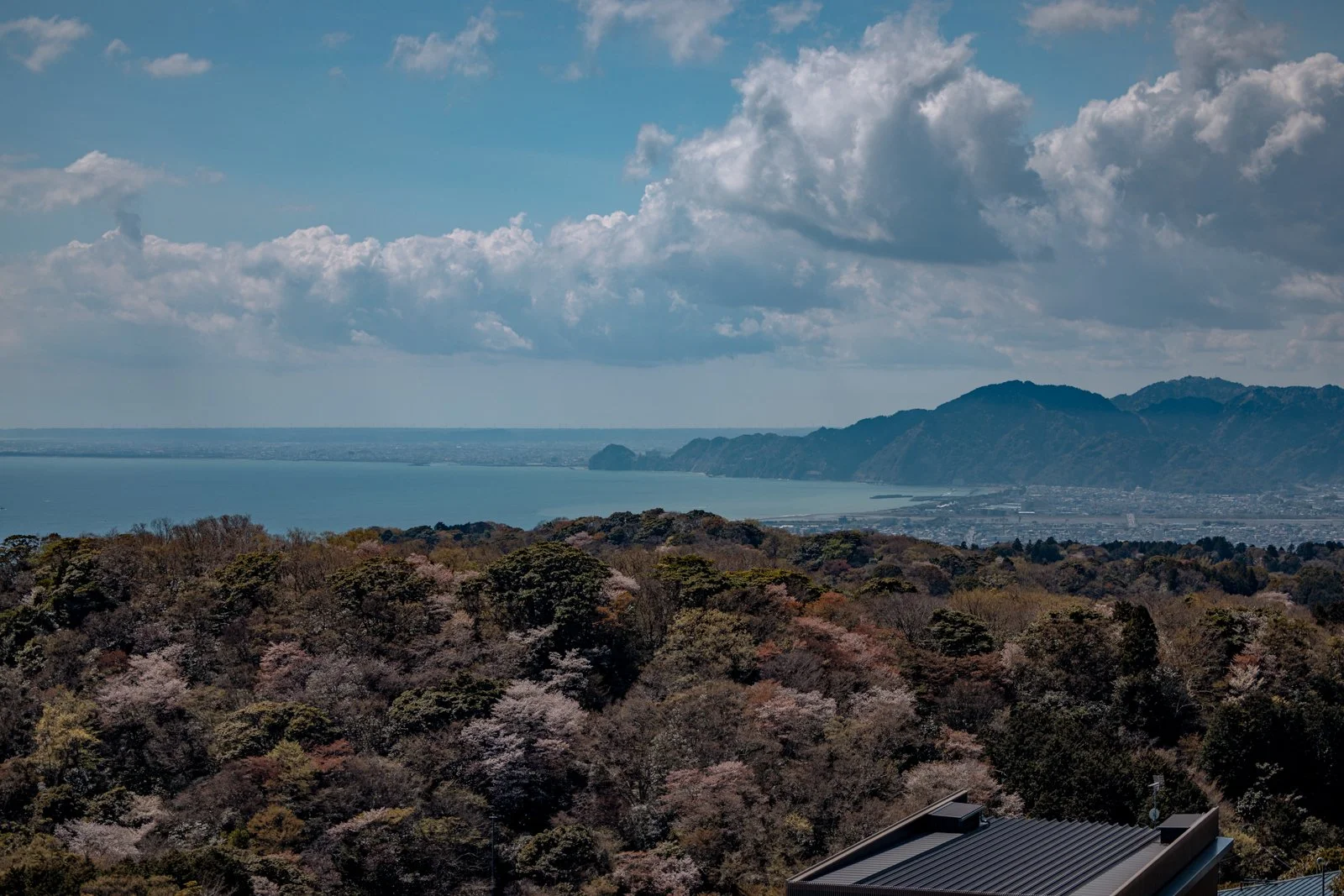 2026 SHIMIZU NIHONDAIRA YUME TERRACE-8.jpg