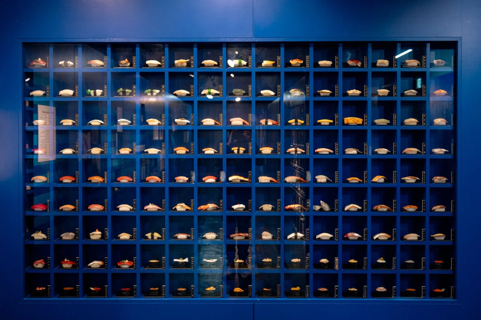 2026 SHIMIZU SUSHI MUSEUM MARINE PARK-9.jpg