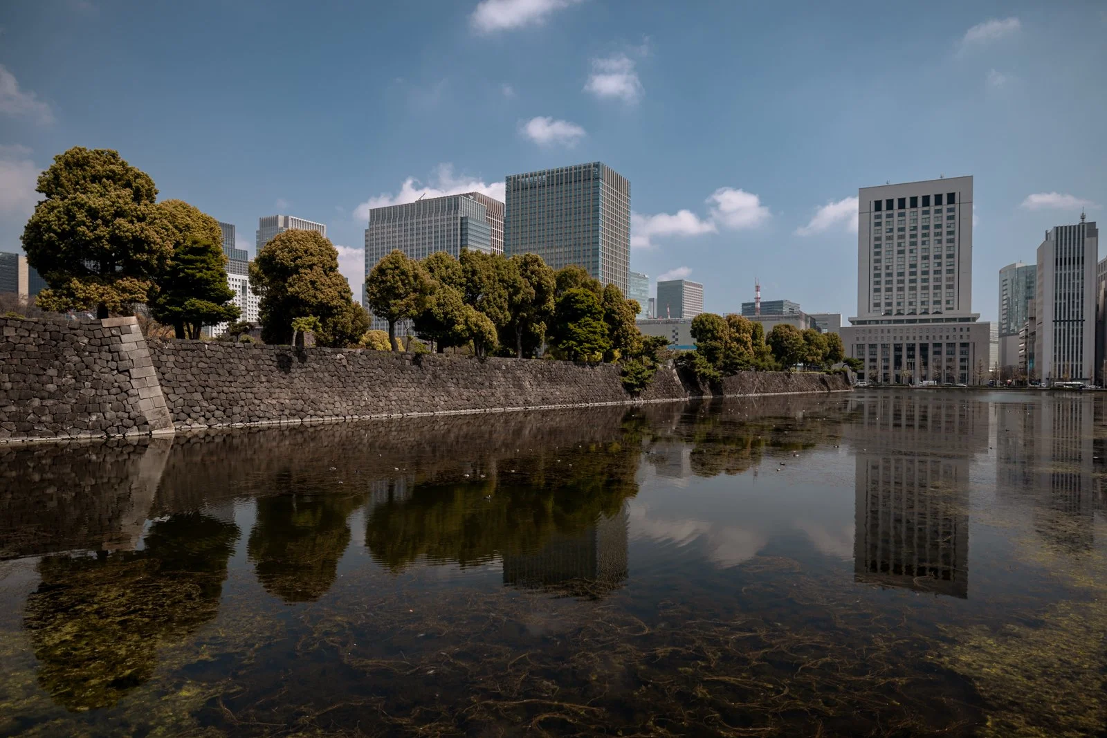 2026 TOKYO IMPERIAL PALACE-5.jpg