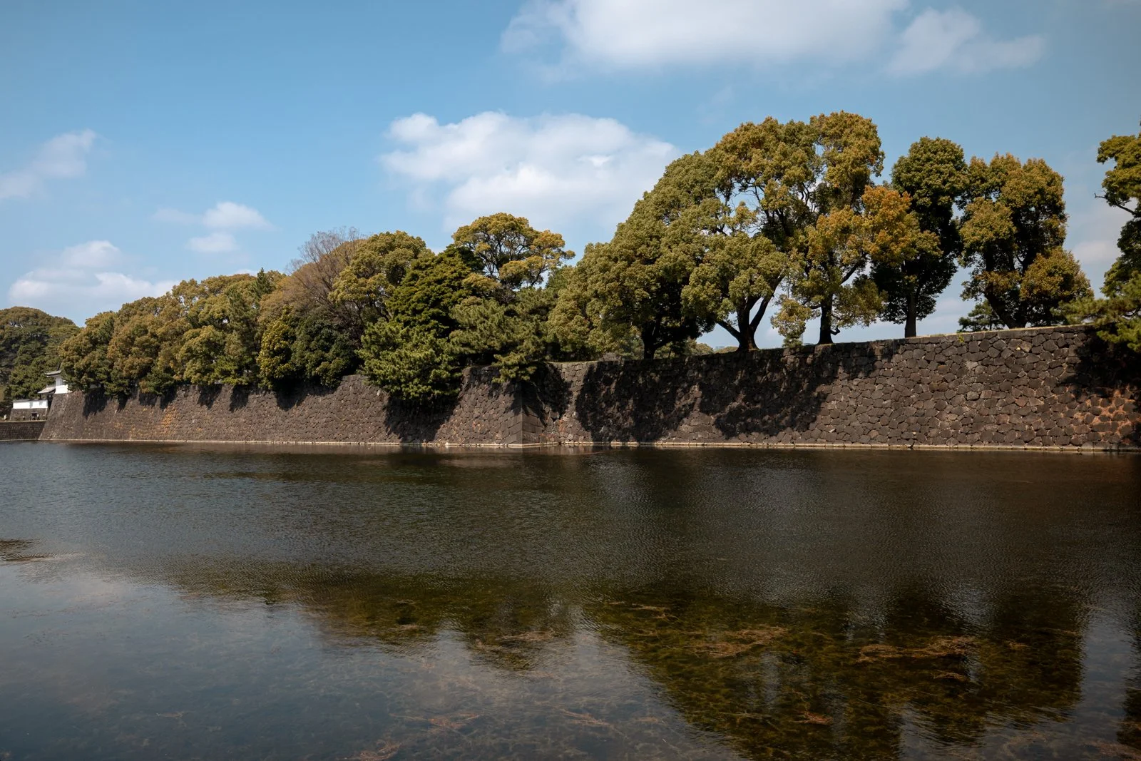 2026 TOKYO IMPERIAL PALACE-6.jpg
