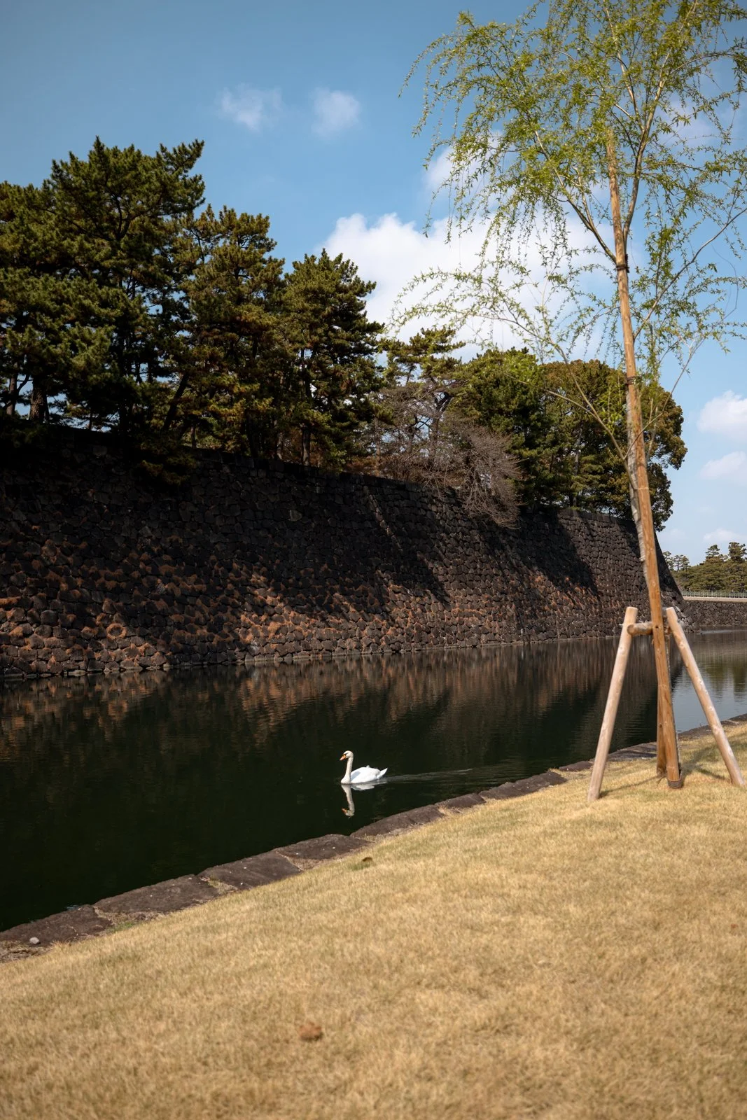 2026 TOKYO IMPERIAL PALACE-13.jpg