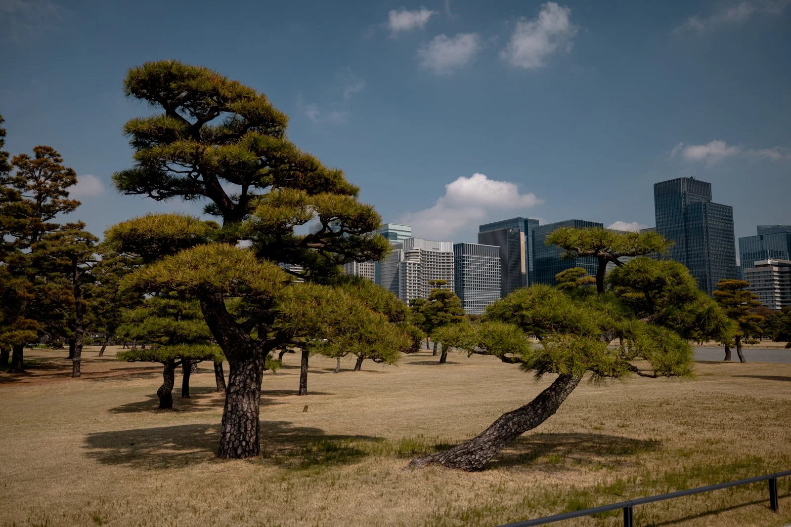 2026 TOKYO IMPERIAL PALACE-20.jpg