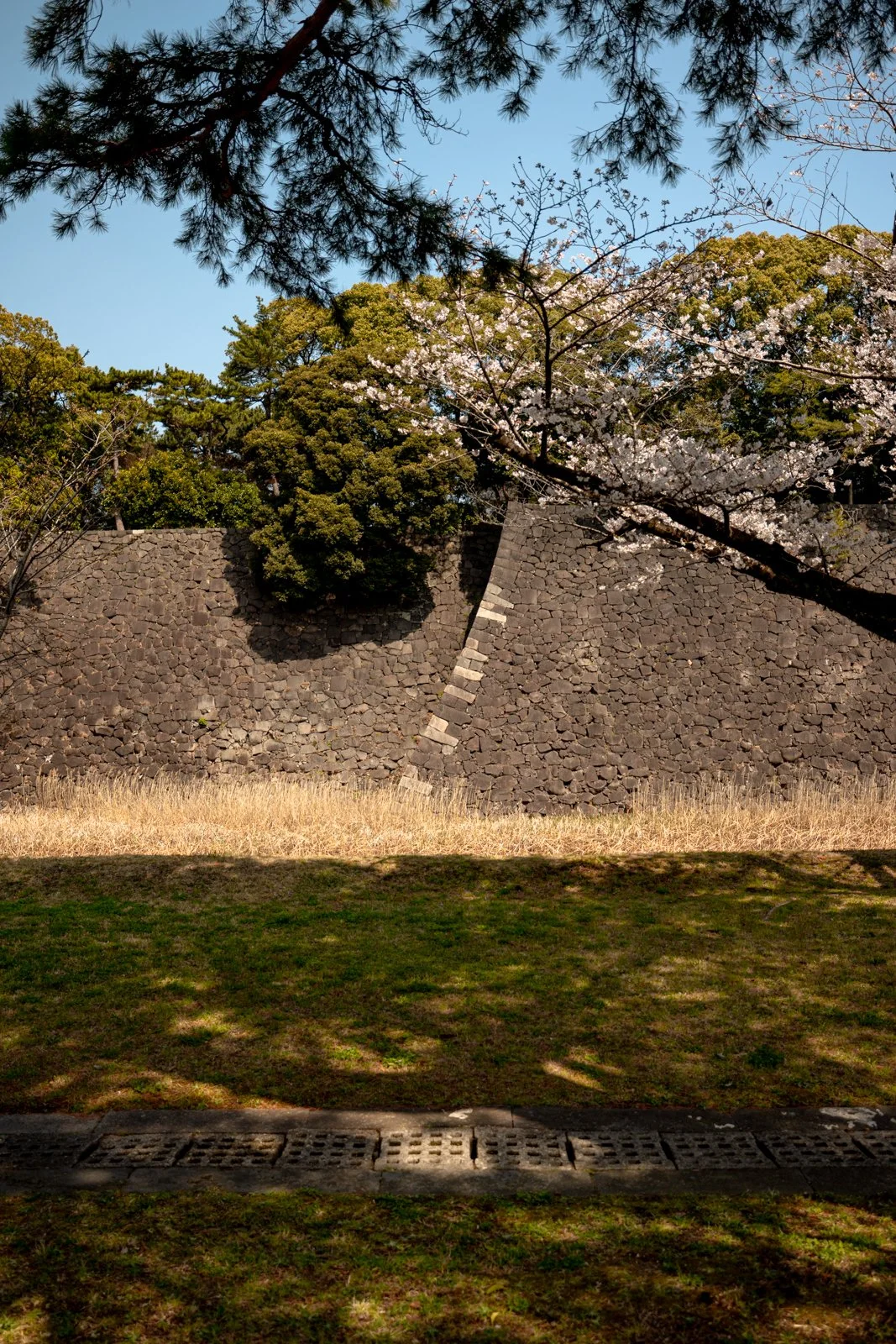 2026 TOKYO IMPERIAL PALACE-25.jpg