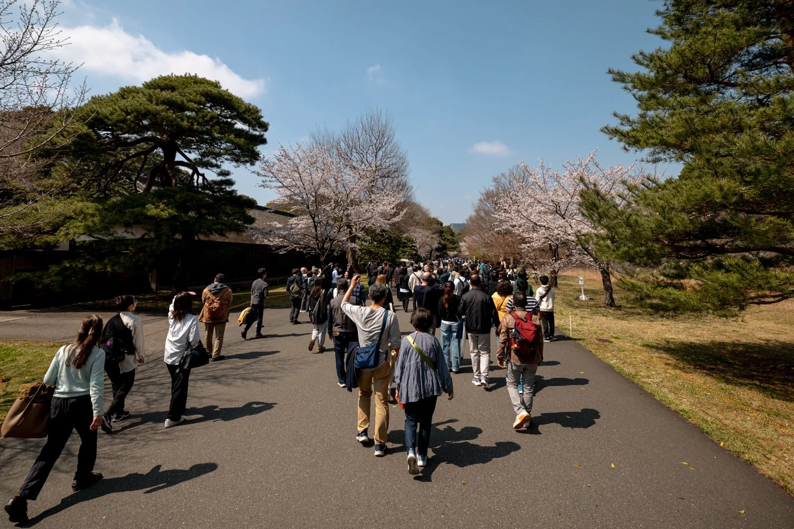 2026 TOKYO IMPERIAL PALACE-26.jpg