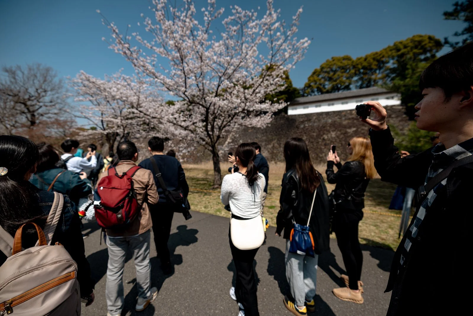 2026 TOKYO IMPERIAL PALACE-27.jpg