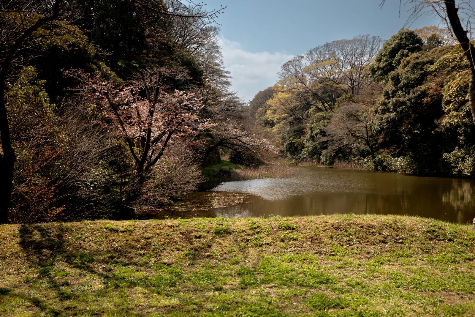 2026 TOKYO IMPERIAL PALACE-29.jpg