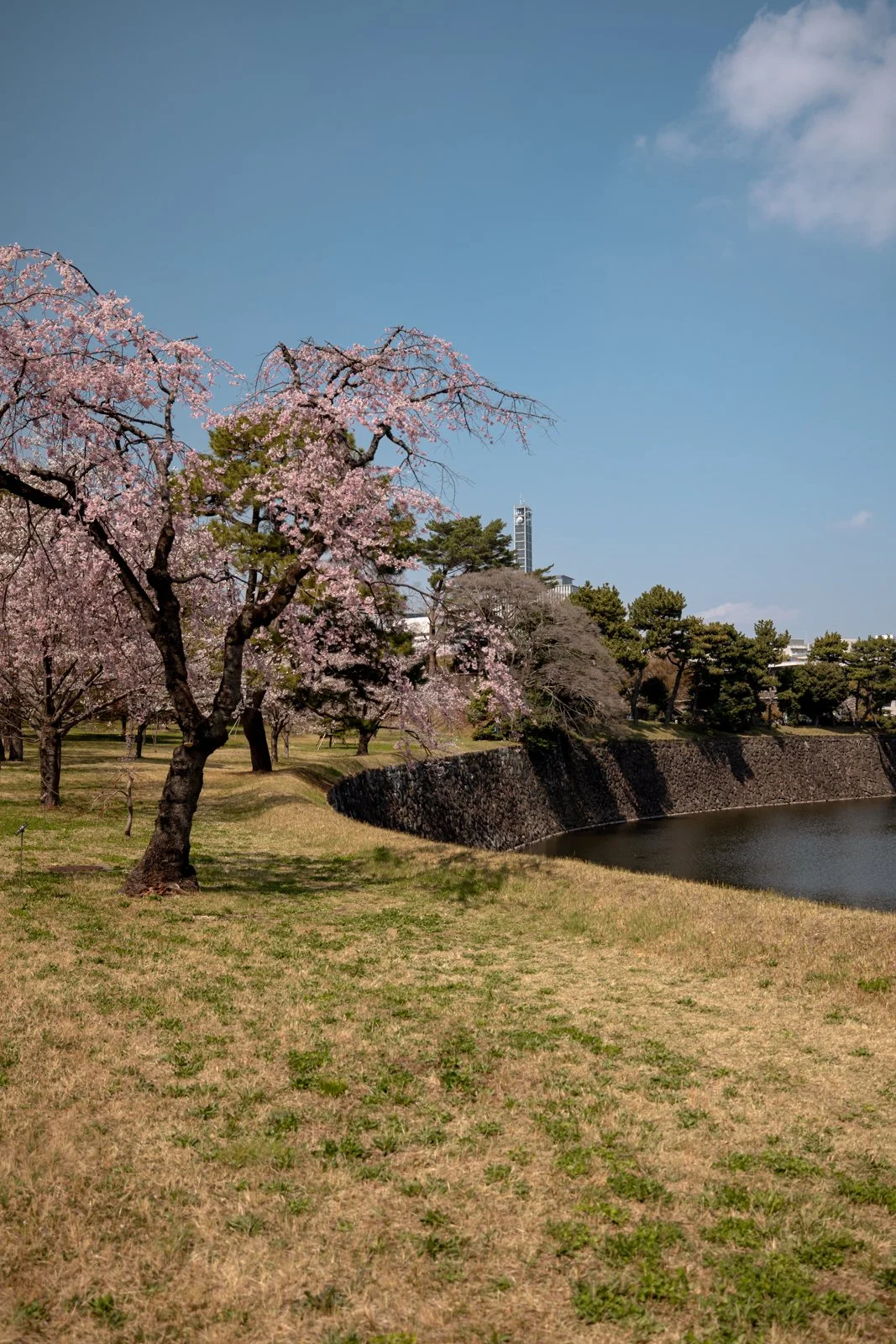 2026 TOKYO IMPERIAL PALACE-30.jpg