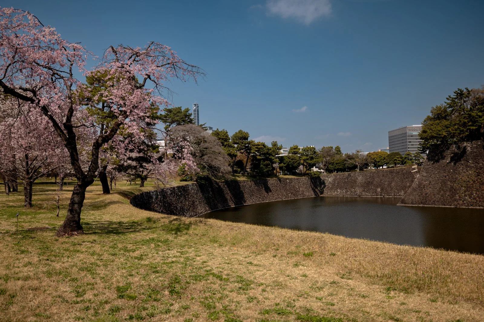 2026 TOKYO IMPERIAL PALACE-31.jpg