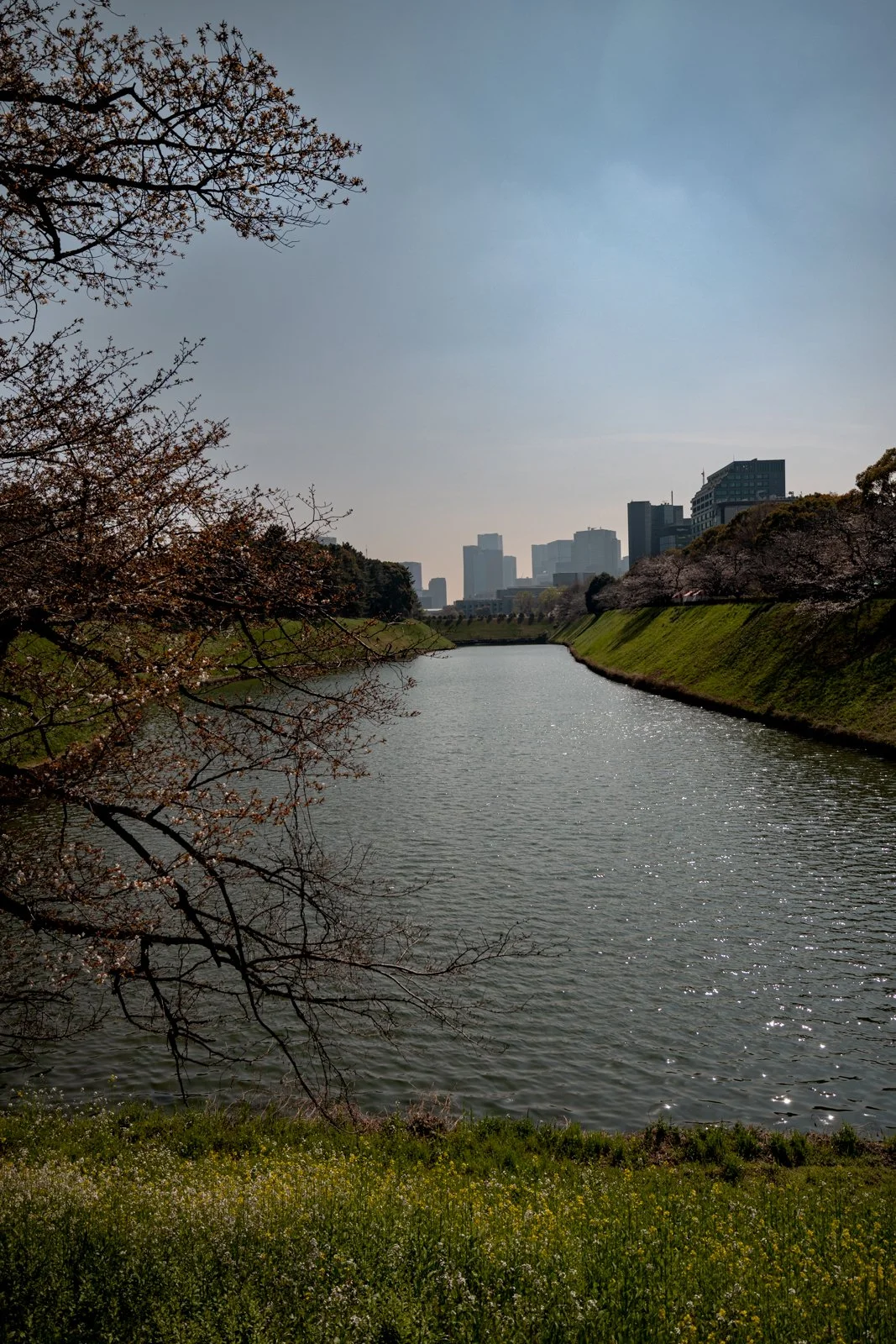 2026 TOKYO IMPERIAL PALACE-33.jpg