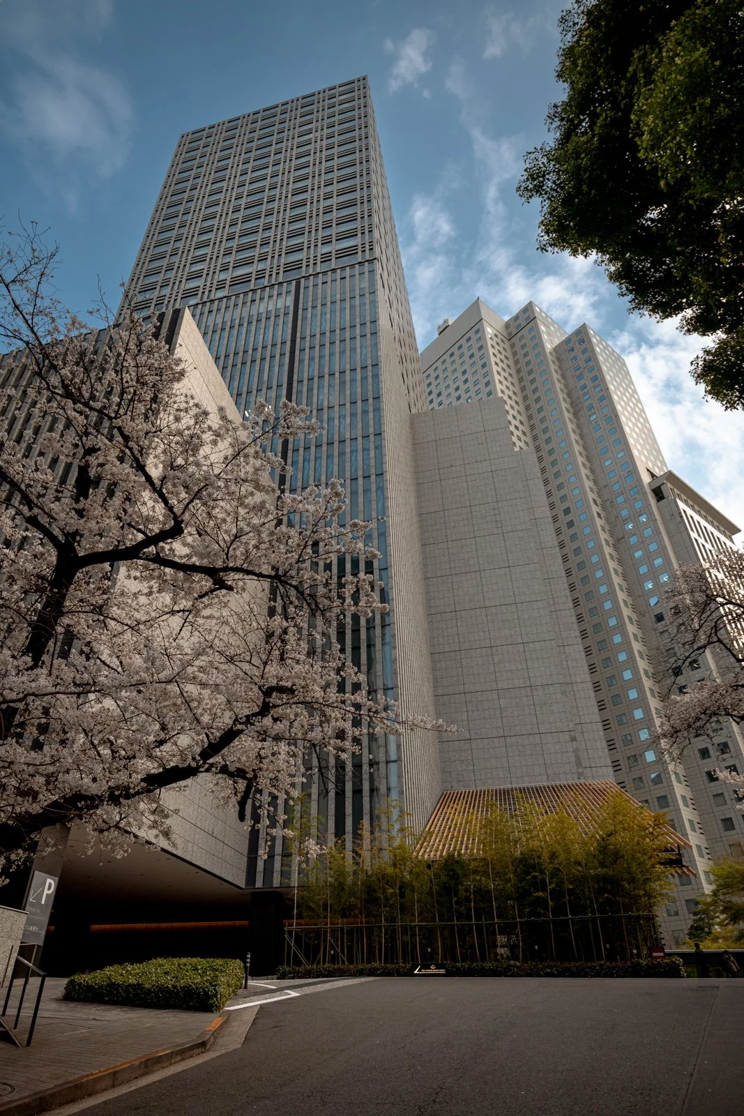 2026 TOKYO DIET BUILDINGS-3.jpg