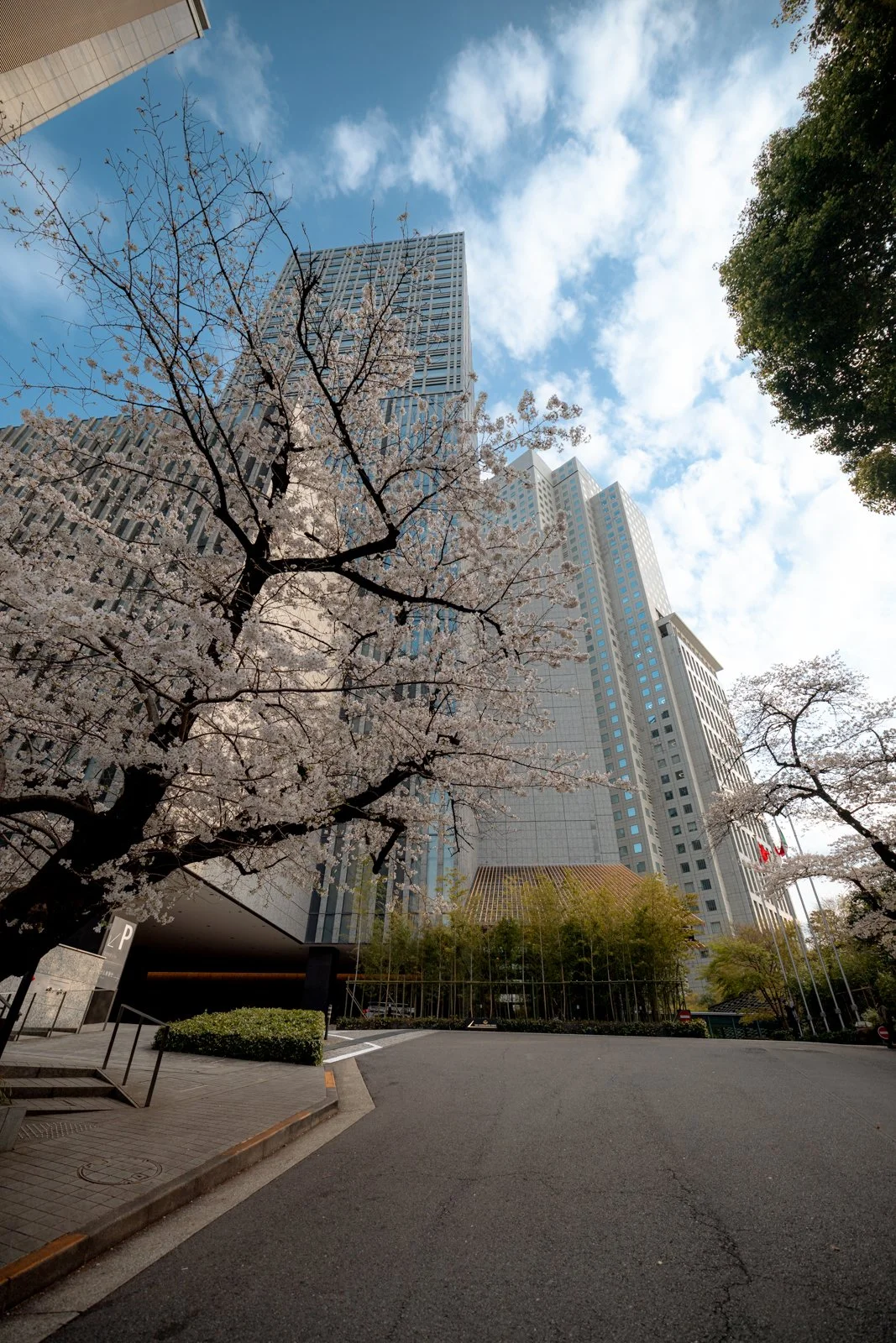 2026 TOKYO DIET BUILDINGS-5.jpg