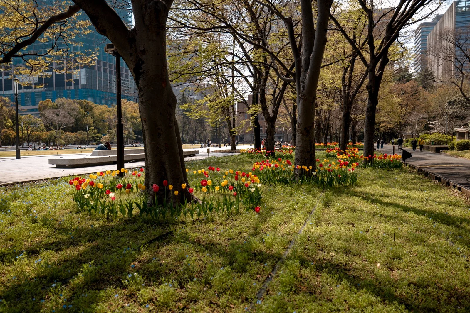 2026 TOKYO GINZA-1.jpg