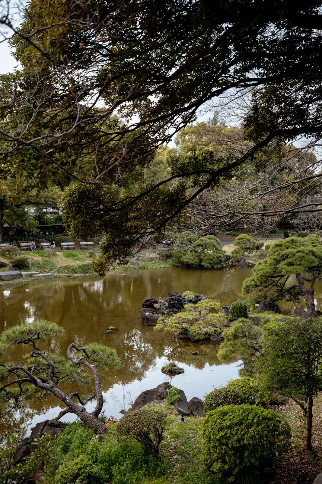 2026 TOKYO GINZA-5.jpg