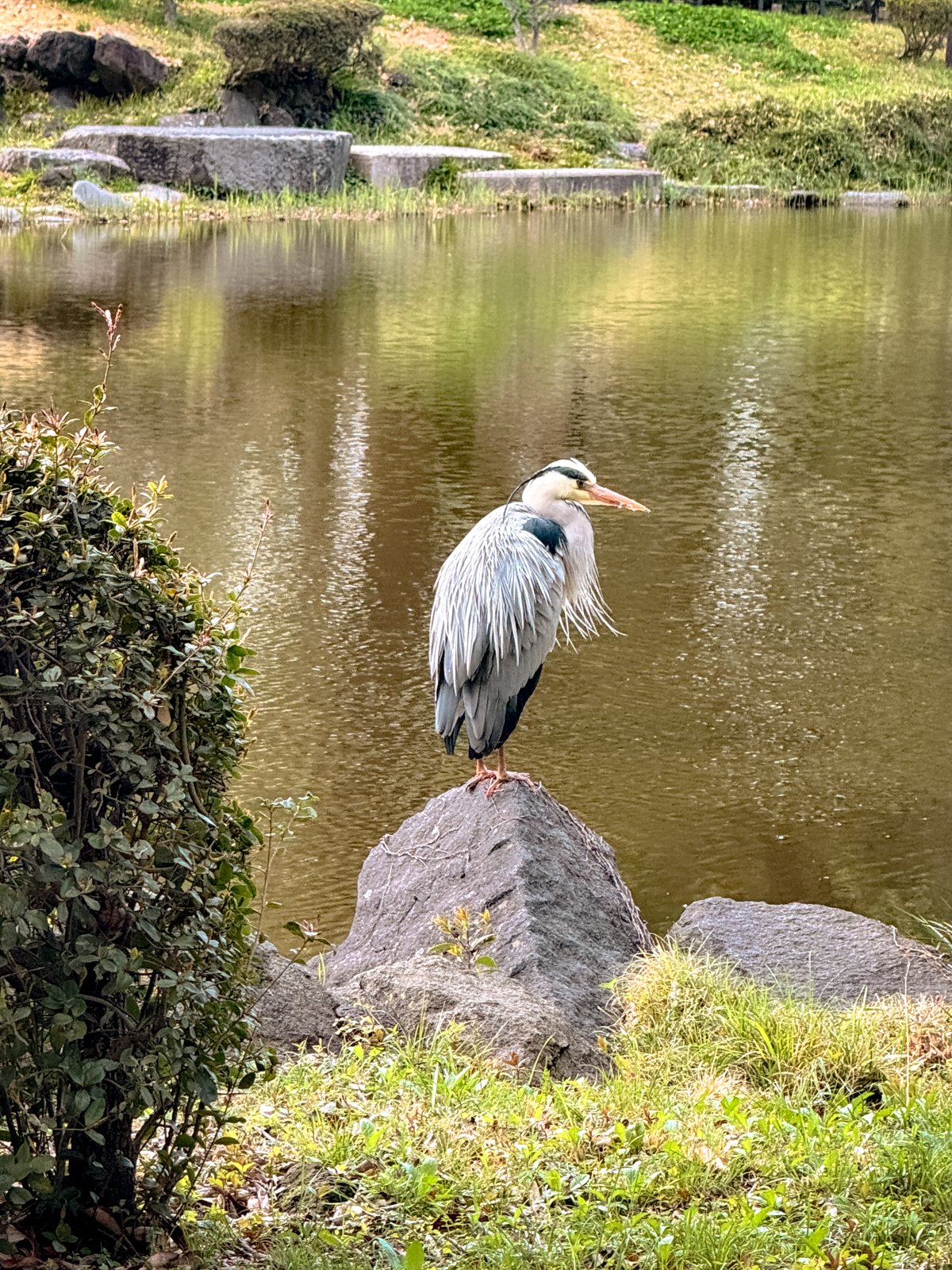 2026 TOKYO GINZA-7.jpg