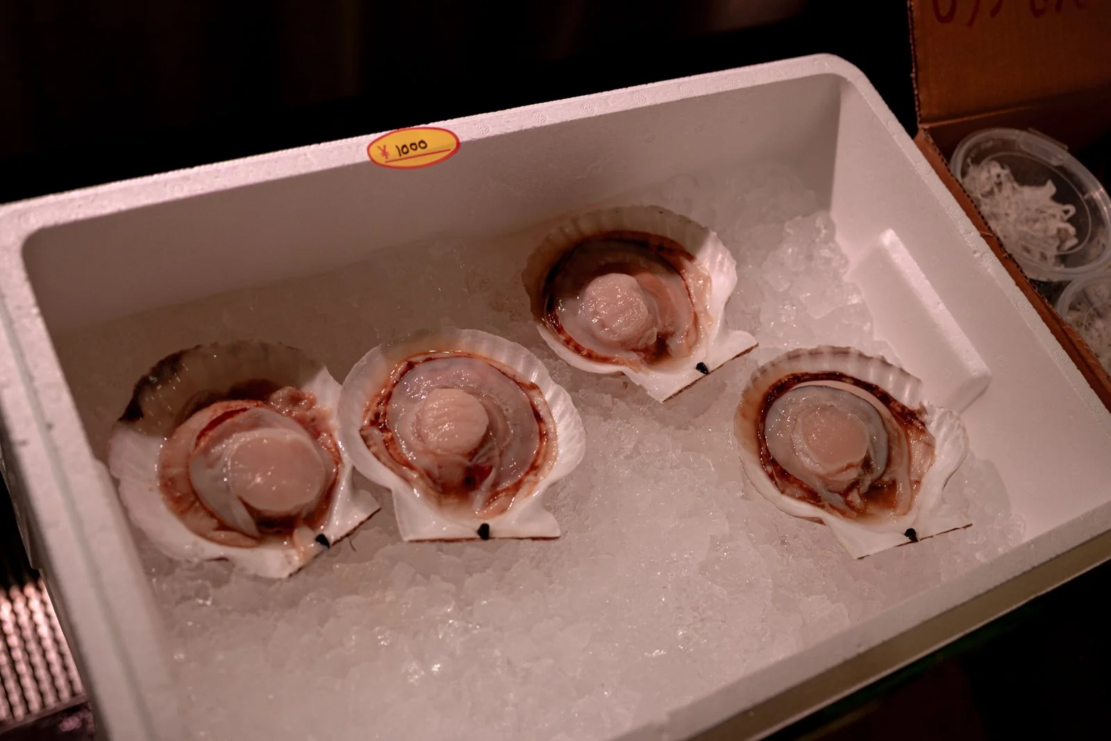 2026 TOKYO TSUKIJI FISH MARKET-5.jpg