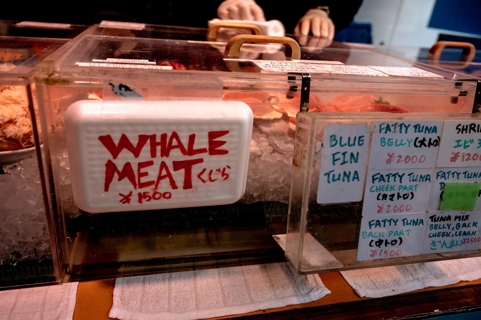 2026 TOKYO TSUKIJI FISH MARKET-23.jpg