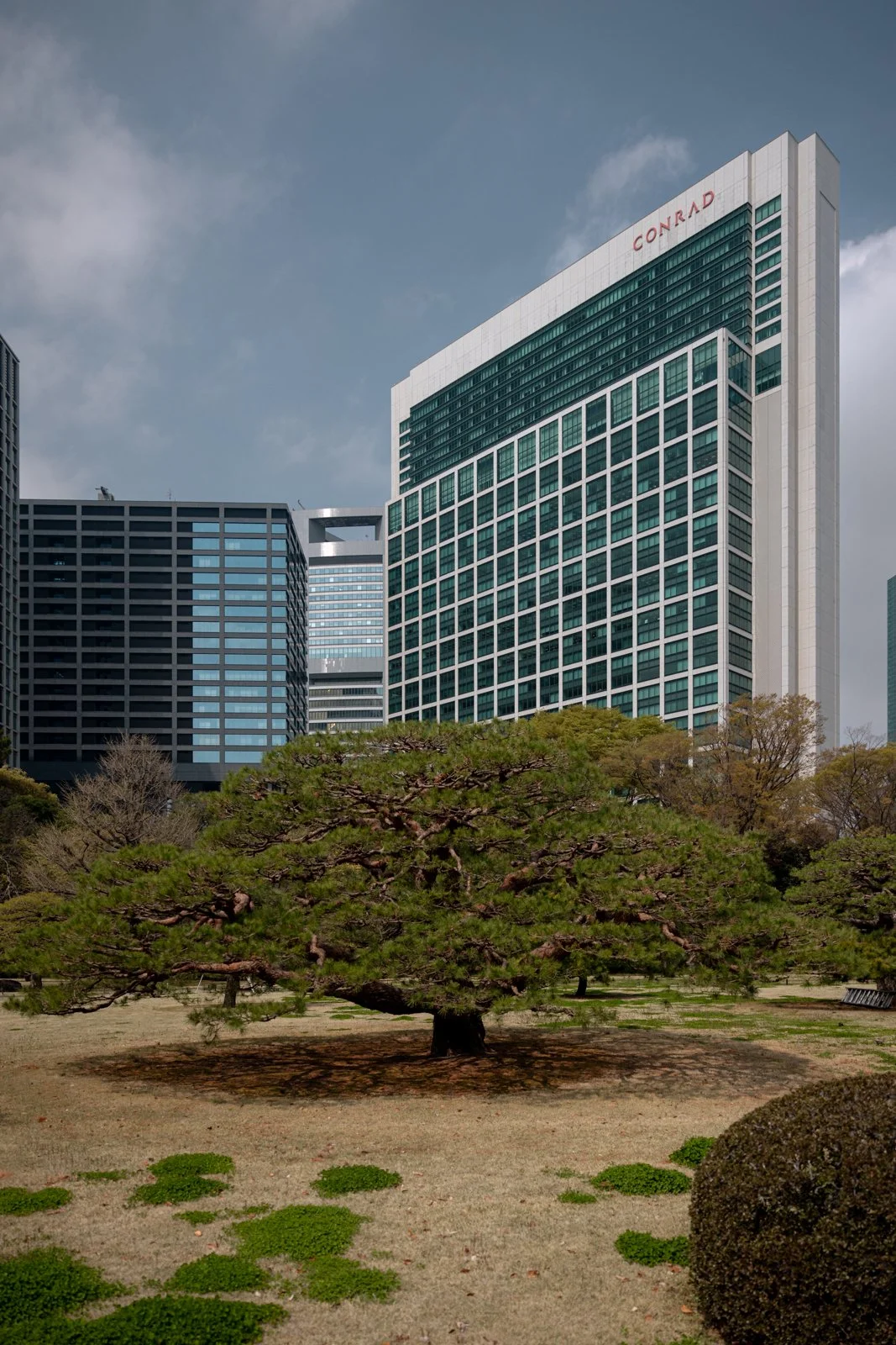 2026 TOKYO HAMA RIKYU GARDEN-2.jpg