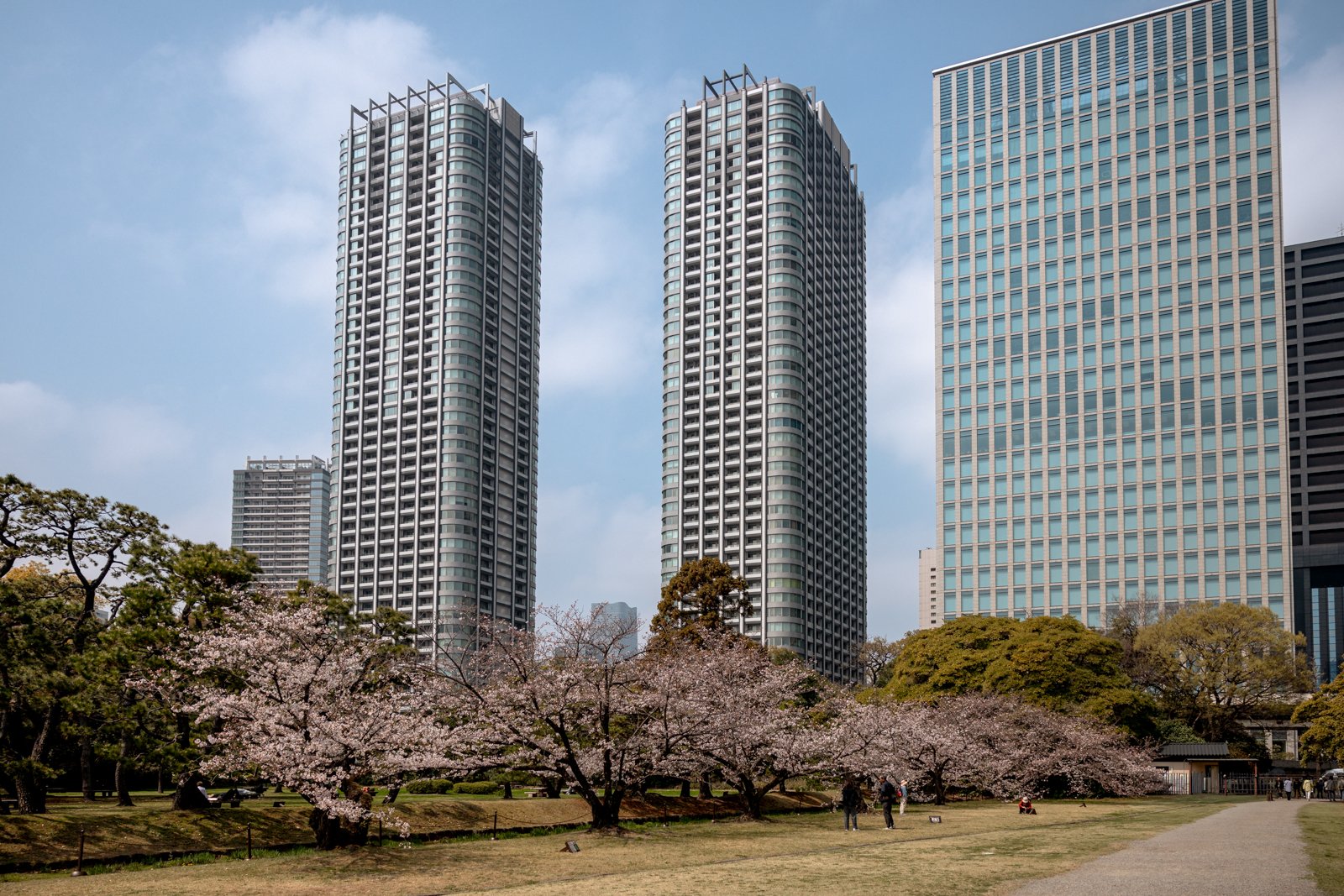 2026 TOKYO HAMA RIKYU GARDEN-4.jpg