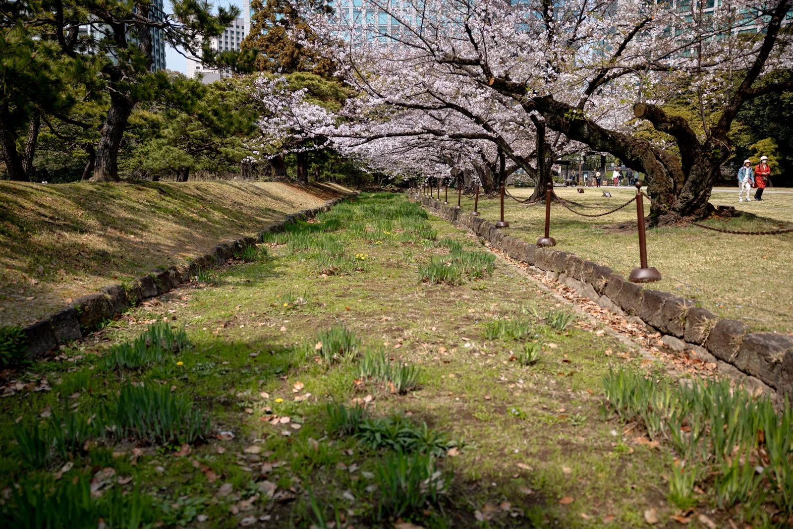 2026 TOKYO HAMA RIKYU GARDEN-5.jpg