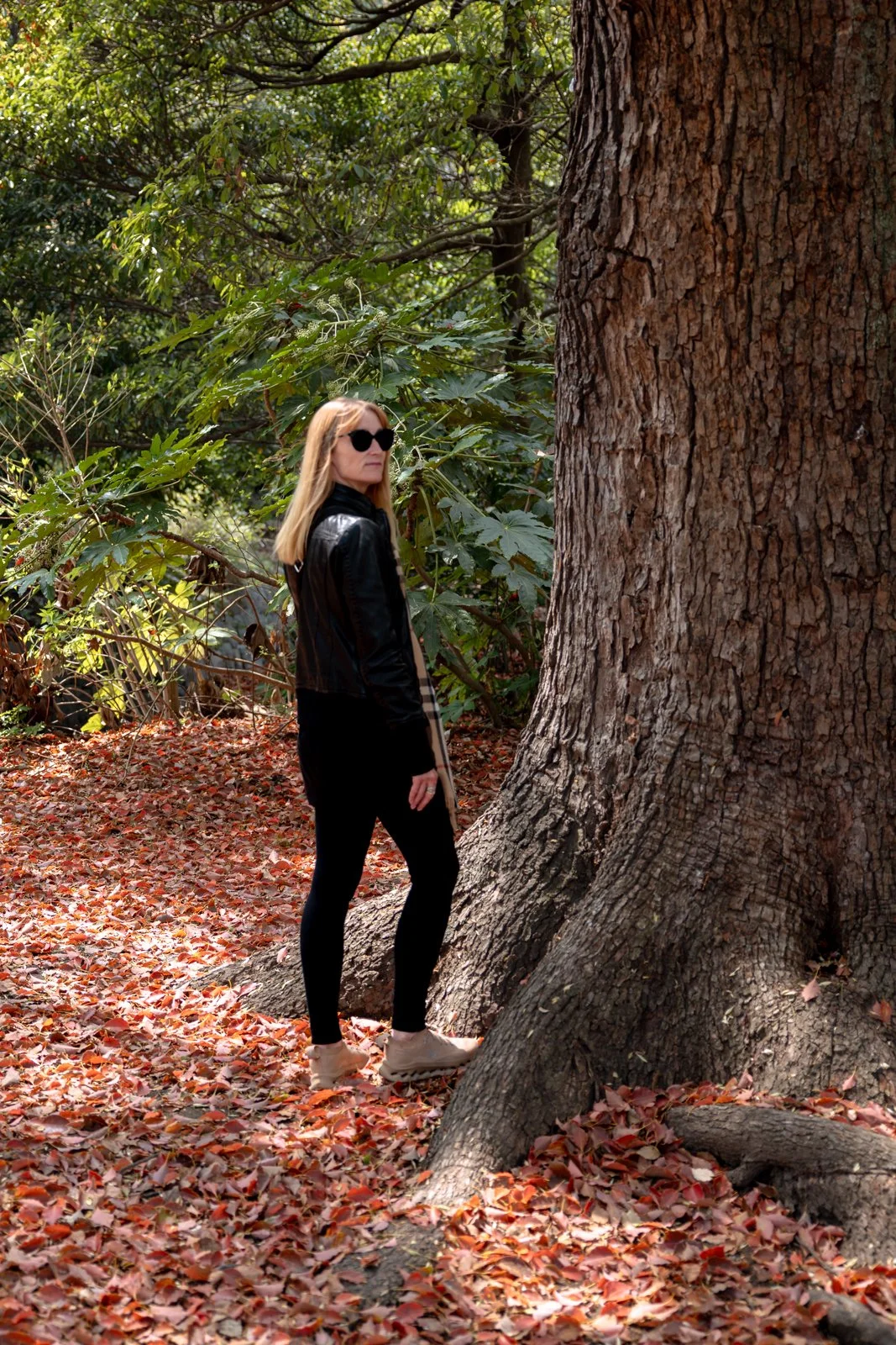 2026 TOKYO HAMA RIKYU GARDEN-7.jpg