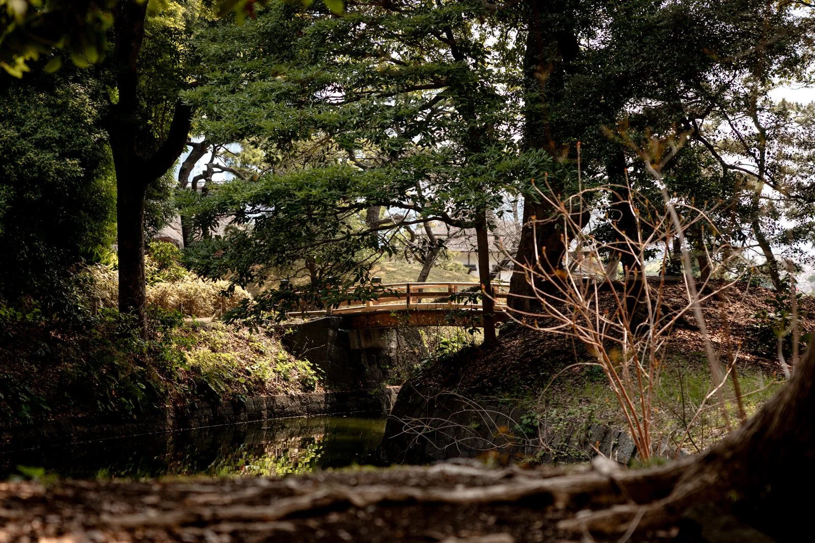 2026 TOKYO HAMA RIKYU GARDEN-9.jpg