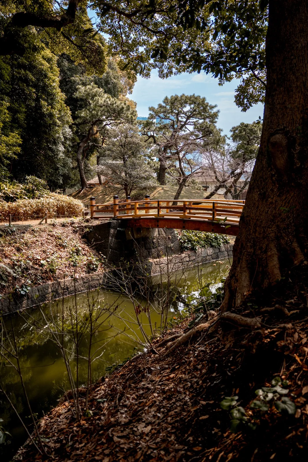 2026 TOKYO HAMA RIKYU GARDEN-10.jpg