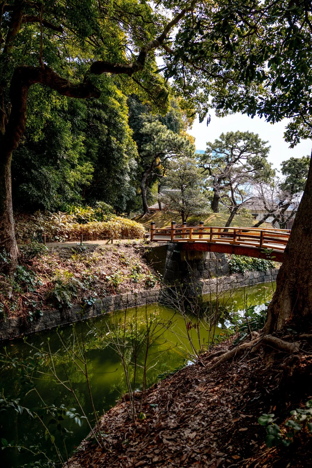 2026 TOKYO HAMA RIKYU GARDEN-11.jpg