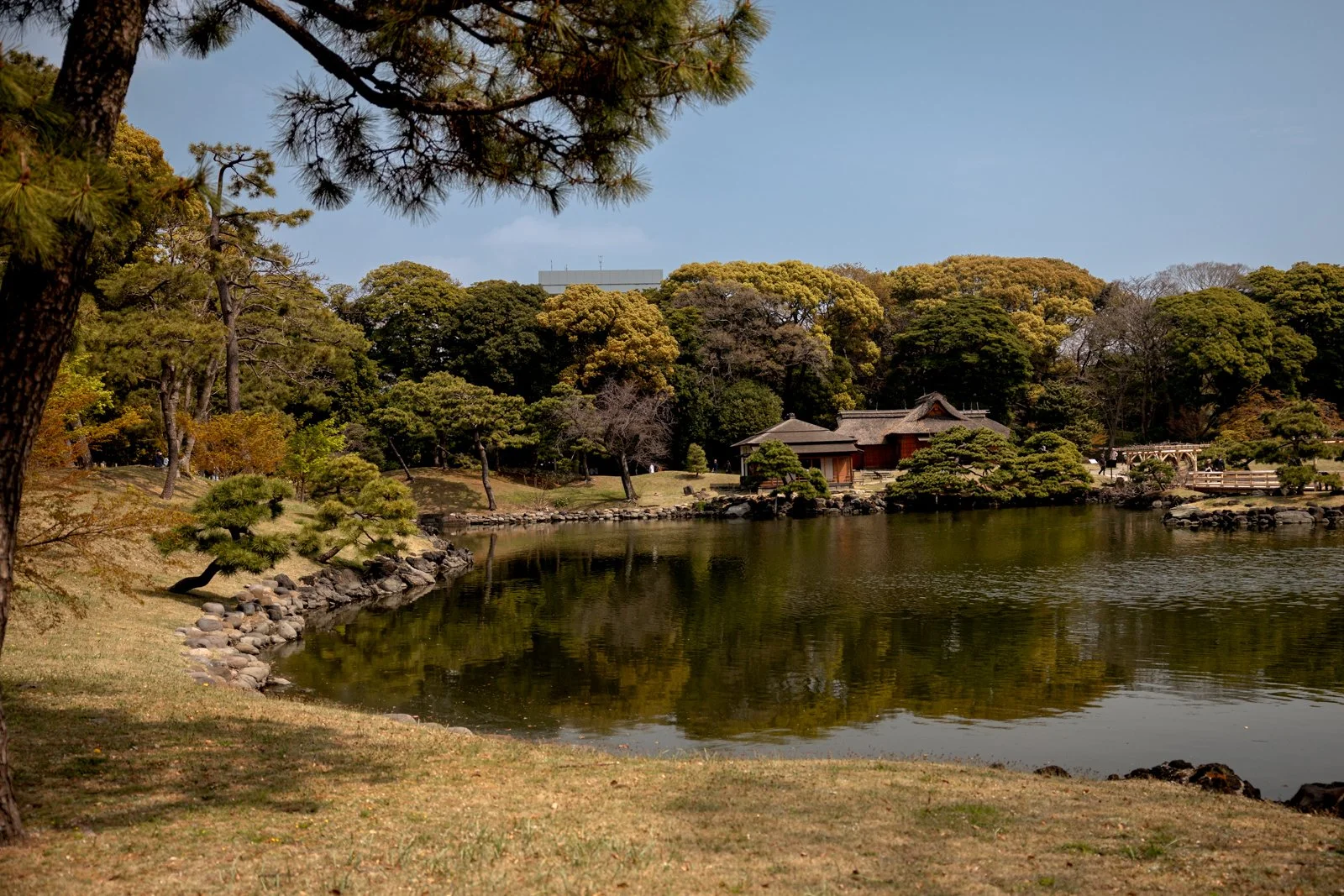 2026 TOKYO HAMA RIKYU GARDEN-13.jpg