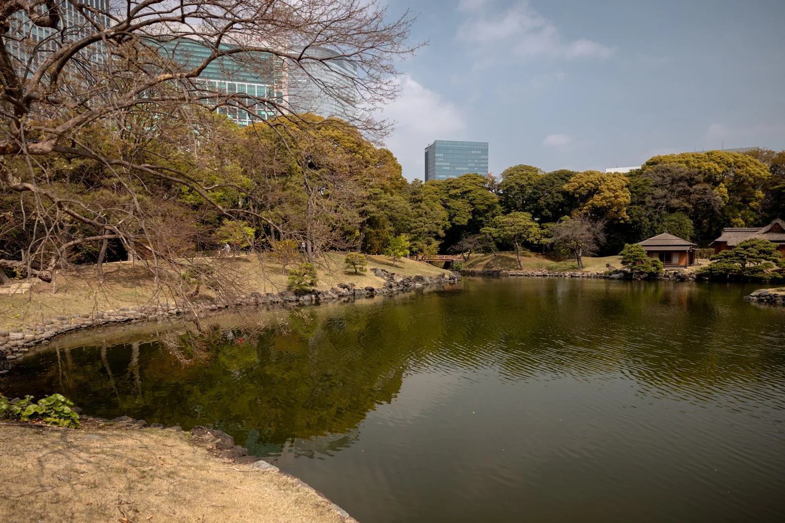 2026 TOKYO HAMA RIKYU GARDEN-14.jpg