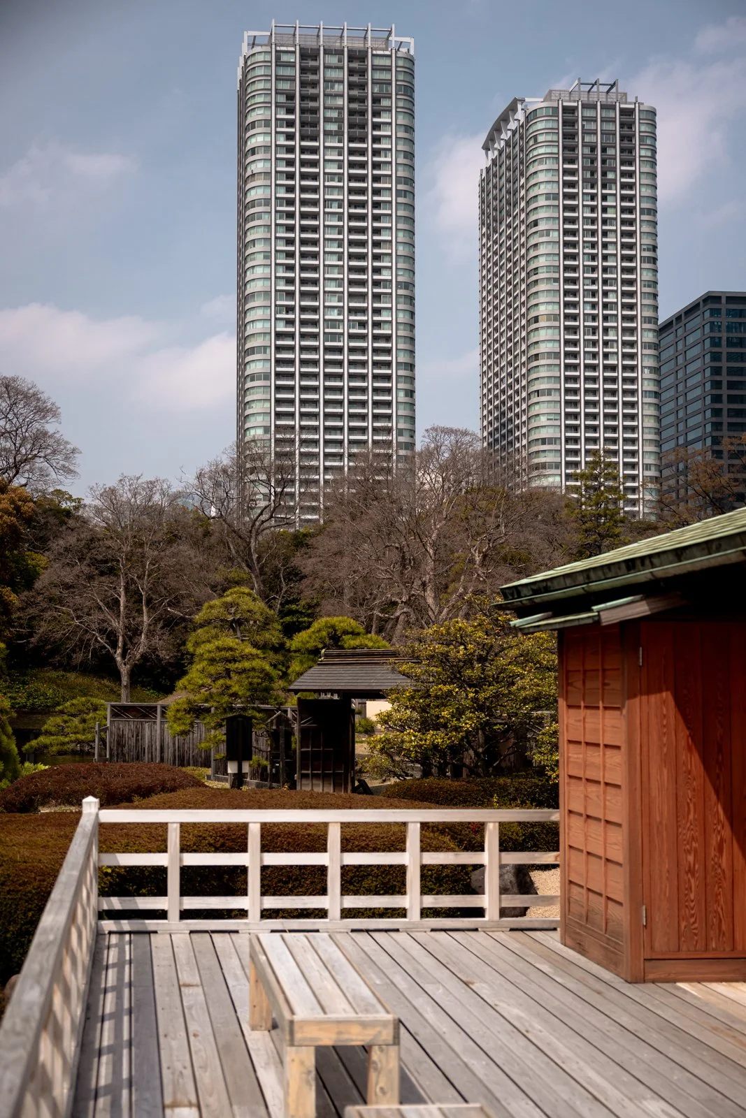 2026 TOKYO HAMA RIKYU GARDEN-17.jpg