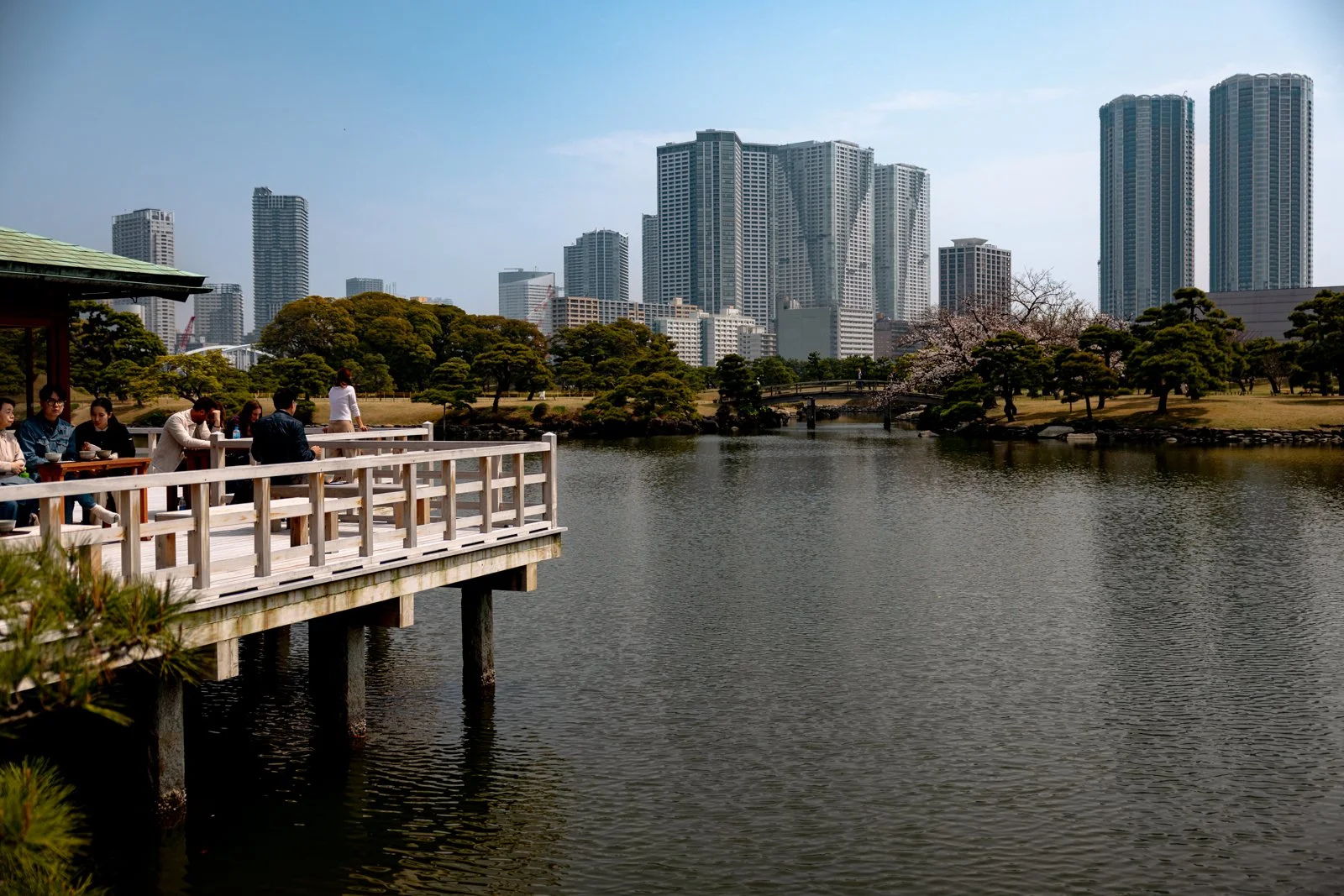 2026 TOKYO HAMA RIKYU GARDEN-20.jpg