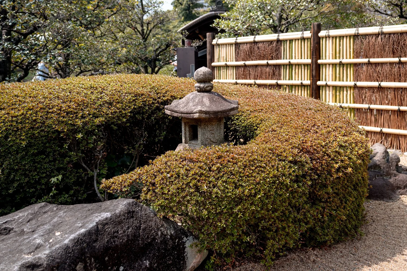 2026 TOKYO HAMA RIKYU GARDEN-19.jpg