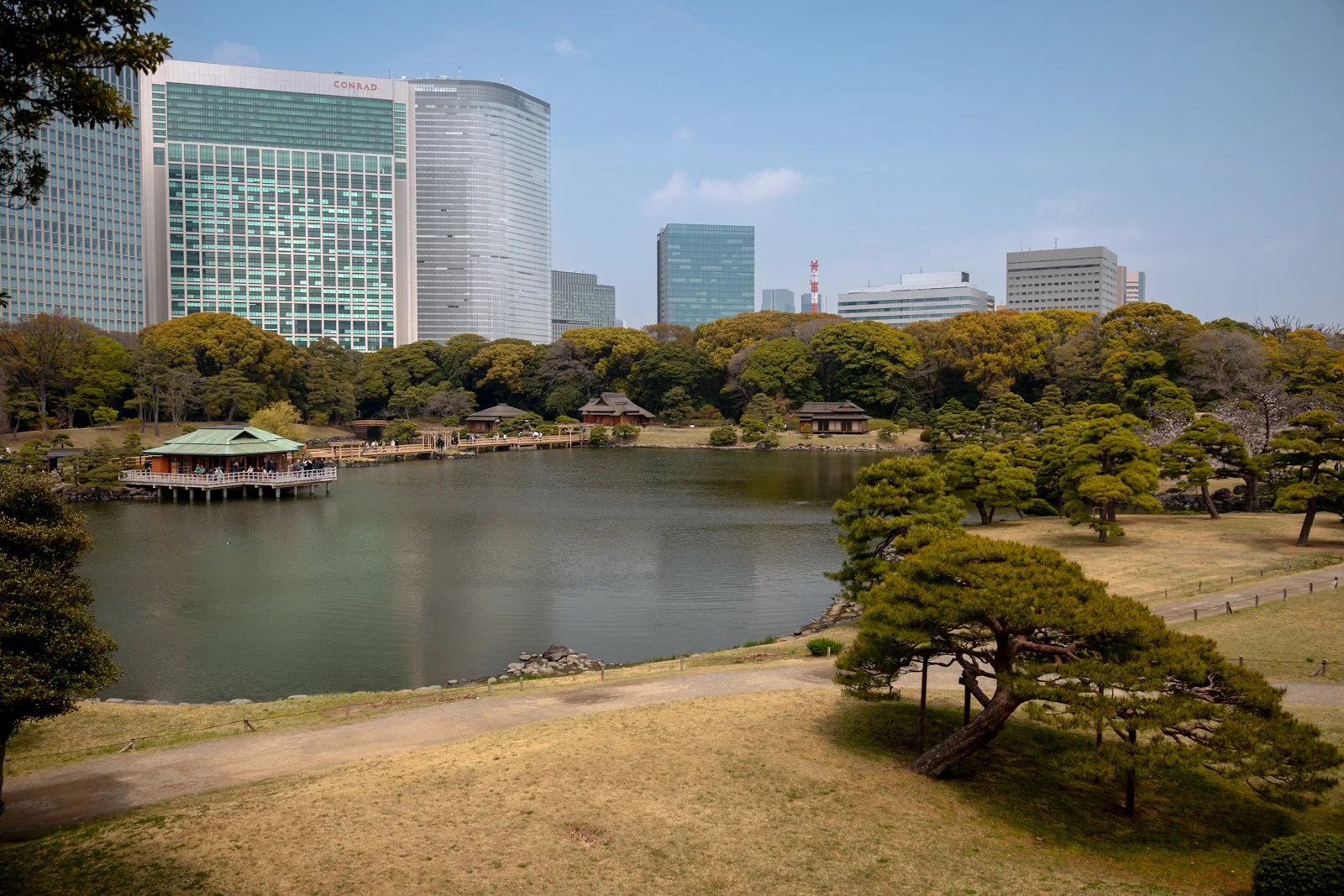 2026 TOKYO HAMA RIKYU GARDEN-22.jpg