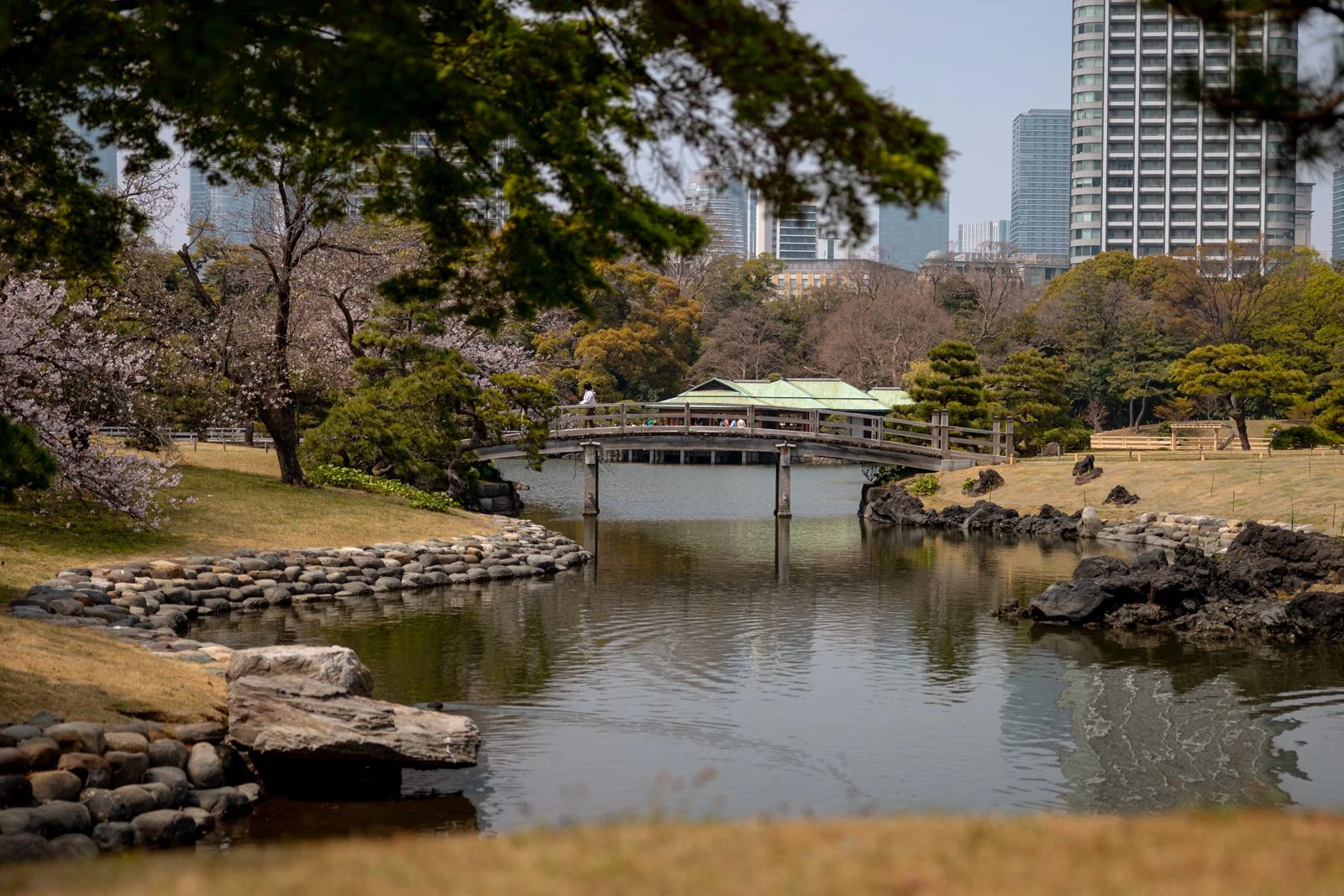 2026 TOKYO HAMA RIKYU GARDEN-30.jpg