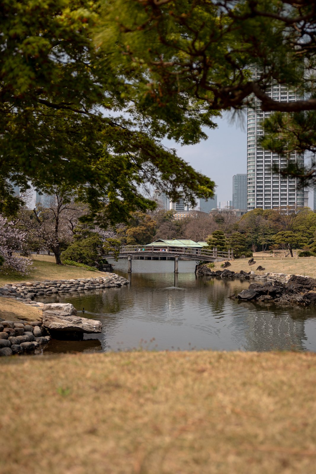 2026 TOKYO HAMA RIKYU GARDEN-31.jpg