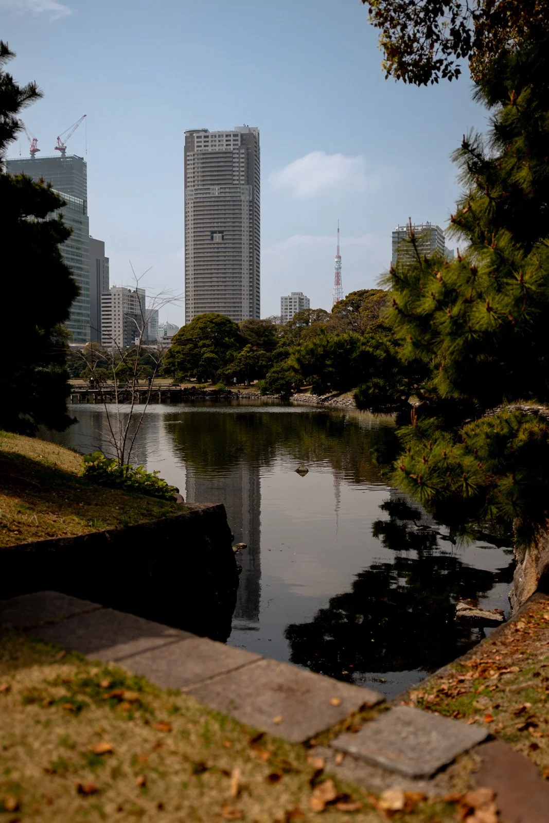2026 TOKYO HAMA RIKYU GARDEN-32.jpg