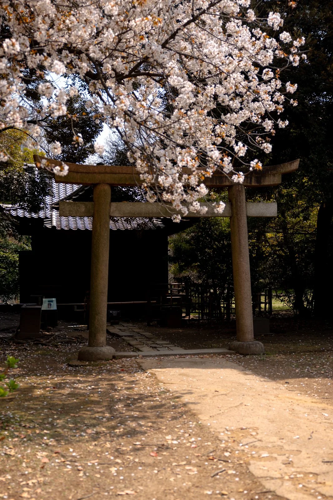 2026 TOKYO HAMA RIKYU GARDEN-34.jpg