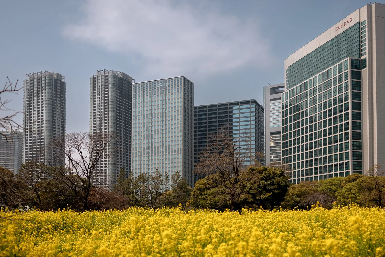 2026 TOKYO HAMA RIKYU GARDEN-36.jpg