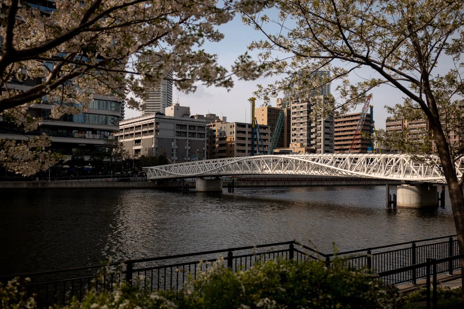 2026 TOKYO KACHIOKO BRIDGES-2.jpg