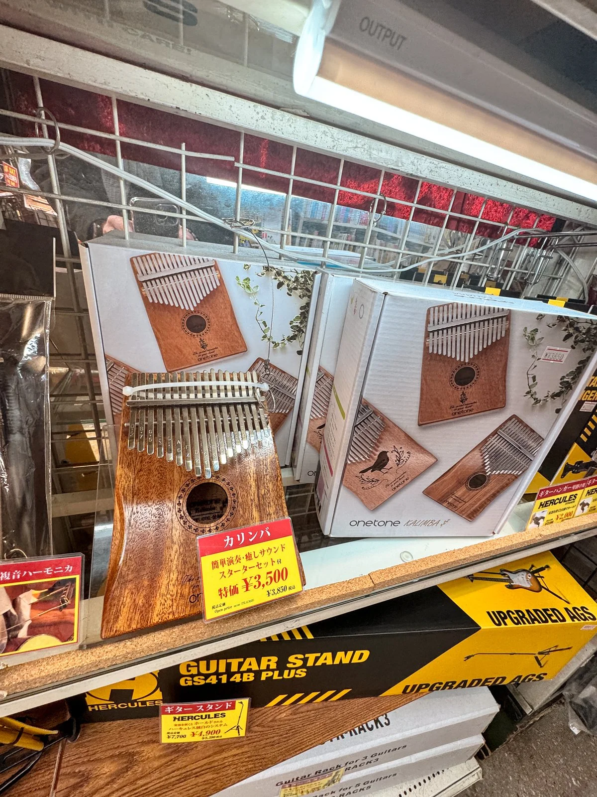 2026 JAPAN FAMILY-33.jpg